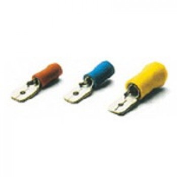 maschio bm00180
